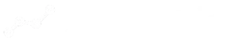 racecast.io logo